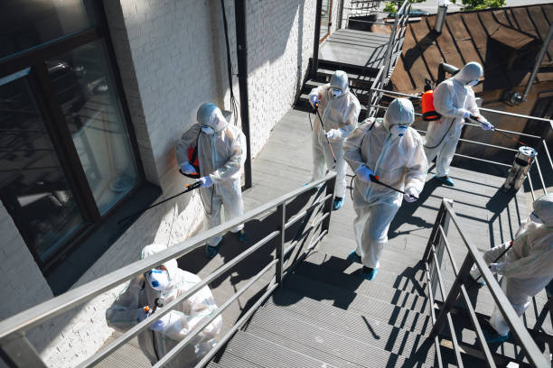 Forensic Mold Investigation in Fitzgerald, GA