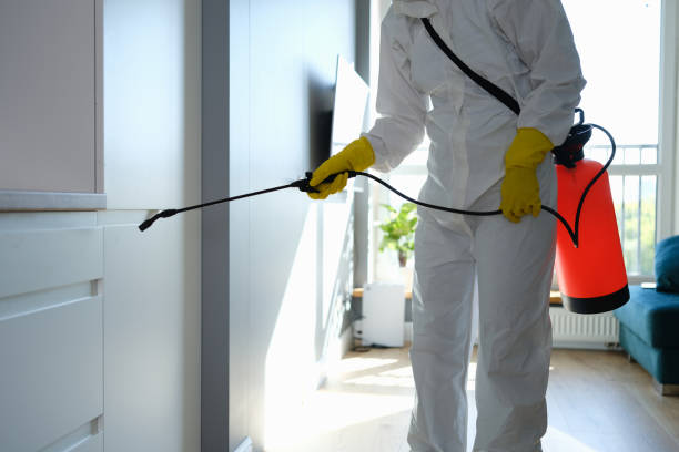 Best Basement Mold Removal  in Fitzgerald, GA