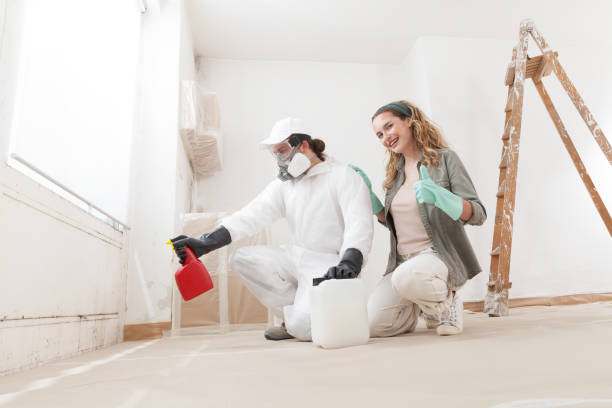 Best Black Mold Removal  in Fitzgerald, GA